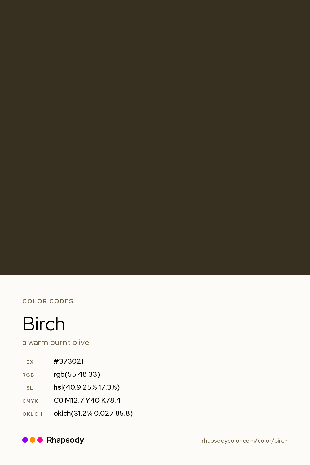 Birch color codes: hex #373021, RGB, HSL, CMYK, and OKLCH, from Rhapsody