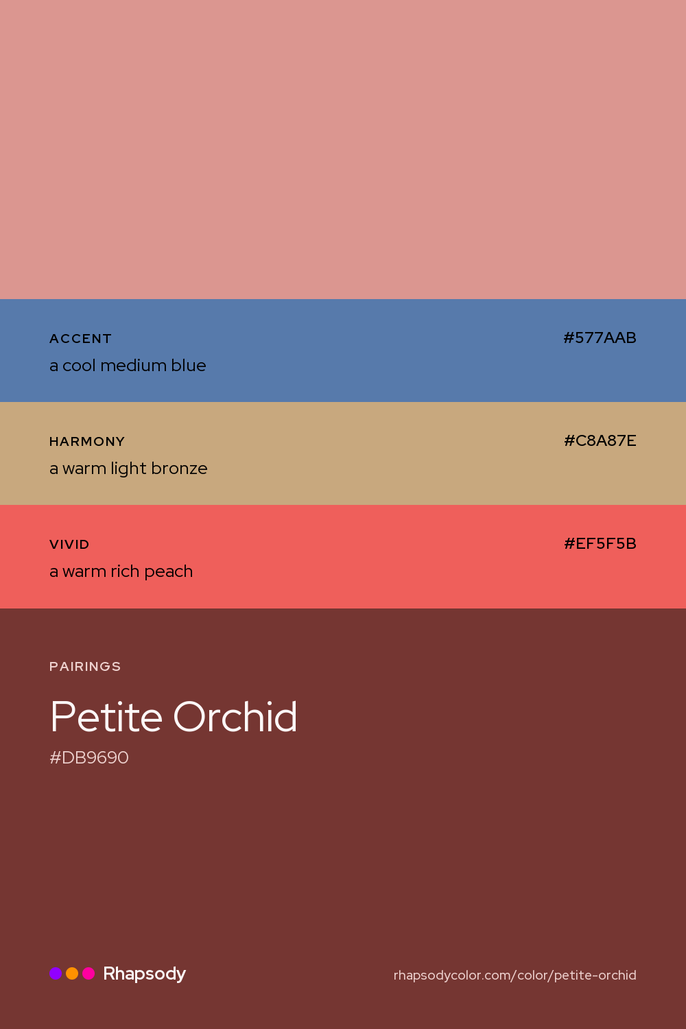Petite Orchid paired with a cool medium blue #577AAB, a warm light bronze #C8A87E, a warm rich peach #EF5F5B: hex values and roles, from Rhapsody