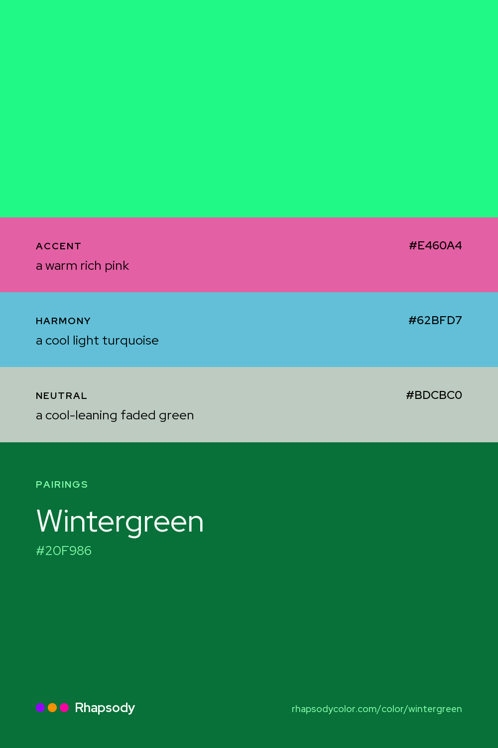 Wintergreen paired with a warm rich pink #E460A4, a cool light turquoise #62BFD7, a cool-leaning faded green #BDCBC0: hex values and roles, from Rhapsody
